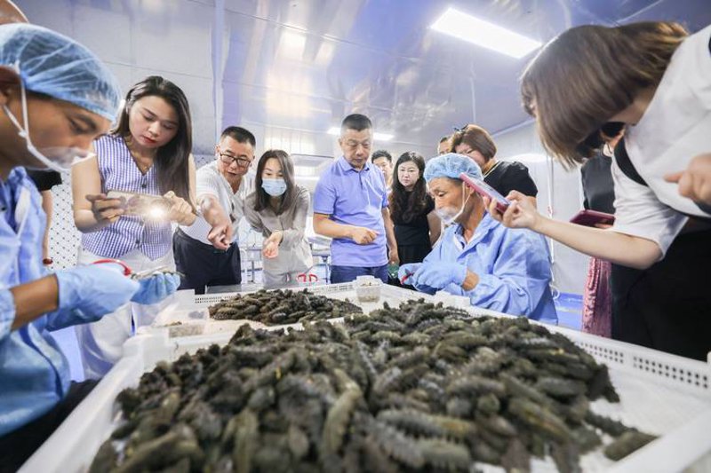 什么是公司的官网？如何高效管理你的官方网站？