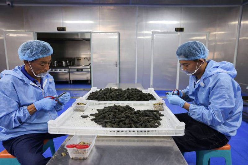 揭秘企业官方网站搭建成本